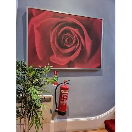 F301-Awesome 3Rd Flr Studio Fits 1 Near Hyde Park London Eksteriør billede