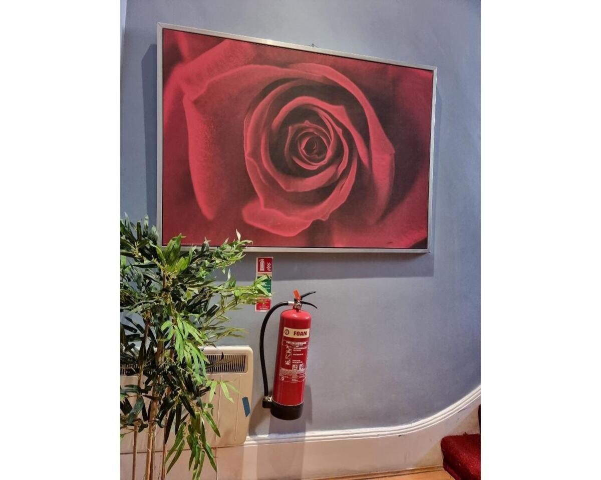 F301-Awesome 3Rd Flr Studio Fits 1 Near Hyde Park London Eksteriør billede